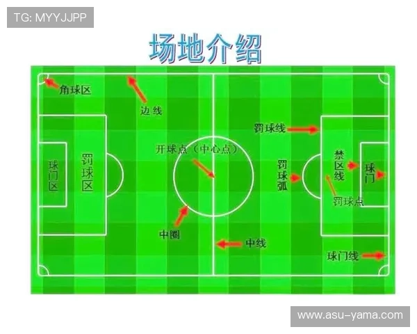 足球竞技真人对战：深入了解比赛规则与战术布局助你轻松赢得每场对决